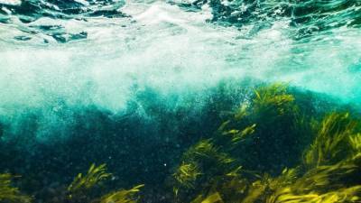 Вольфрам поможет ученым измерить уровень кислорода в древних океанах