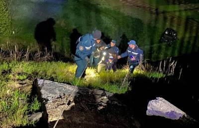 Семья с двумя несовершеннолетними детьми заблудилась в лесу под Гомелем: её обнаружили сотрудники МЧС
