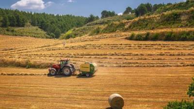 Европа массово скупает российскую сельхозтехнику