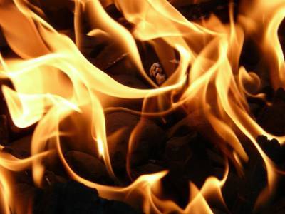 За майские праздники на пожарах в Рязанской области погибли два человека