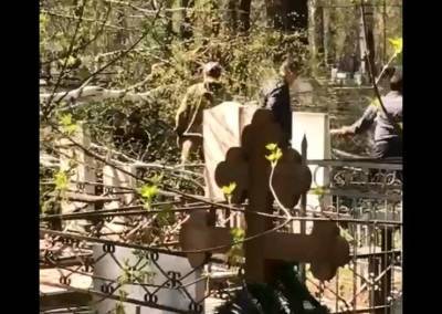 Дерево на новосибирском кладбище упало на женщину