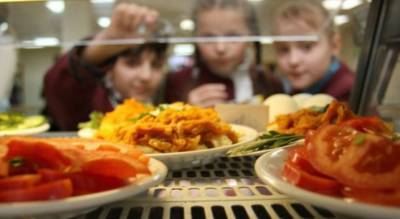 В Петербурге наметился передел рынка школьного питания частными комбинатами