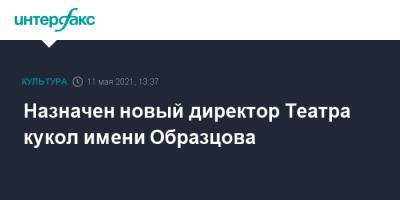 Назначен новый директор Театра кукол имени Образцова