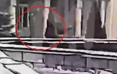 Казанский стрелок сам сдался полиции: опубликовано видео