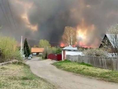 В Казахстане из-за лесного пожара 83 человека лишились жилья — видео