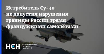 Истребитель Су-30 не допустил нарушения границы России тремя французскими самолётами