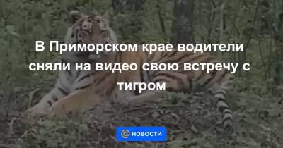 В Приморском крае водители сняли на видео свою встречу с тигром