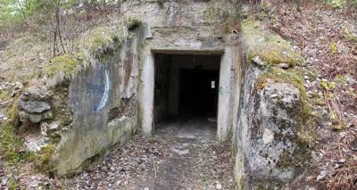 Неожиданная находка: в Сигулдском крае обнаружен бункер времен Второй мировой войны