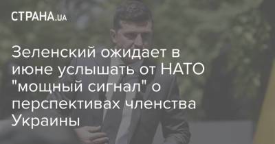 Зеленский ожидает в июне услышать от НАТО "мощный сигнал" о перспективах членства Украины