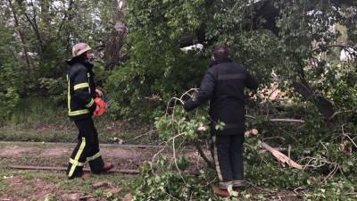 Поваленные деревья резали спасатели: всю Харьковскую область охватил ураганный ветер – видео