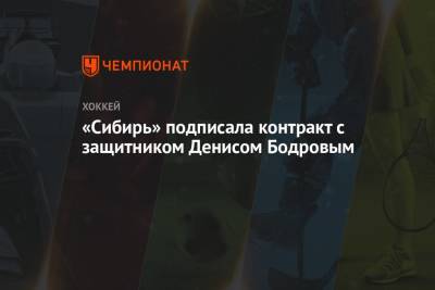 «Сибирь» подписала контракт с защитником Денисом Бодровым