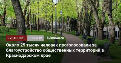 Около 25 тысяч человек проголосовали за благоустройство общественных территорий в Краснодарском крае