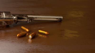Эксперты поддержали ужесточение правила оборота гражданского оружия
