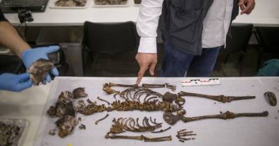 В королевском дворце в Севилье нашли скелет 5-летней девочки, умершей 700 лет назад