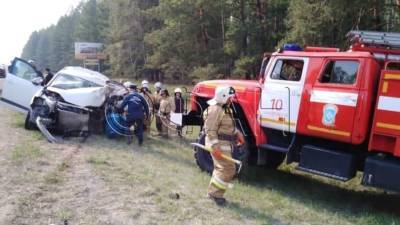 В аварии с микроавтобусом на курганской трассе погибли пять человек