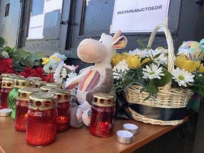 Глава шведского МИД выразила соболезнования родным погибших в школе в Казани