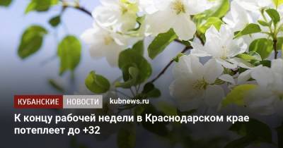 К концу рабочей недели в Краснодарском крае потеплеет до +32