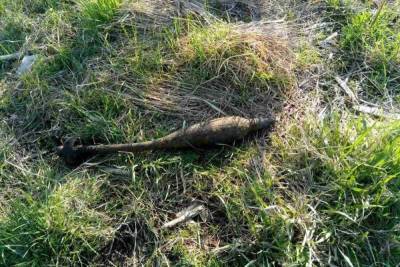 В Ярославской области в гаражном кооперативе нашли снаряд