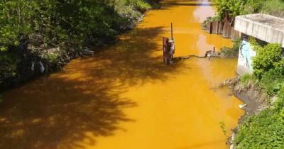 В Киеве из реки Лыбидь, которая стала ядовито-желтой, взяли пробы воды: что известно
