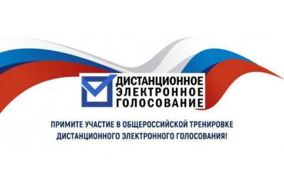 Систему дистанционного электронного голосования протестируют с 12 по 14 мая