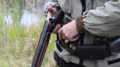 В Волосовском районе двум мужчинам грозит уголовная ответственность за убийство лося