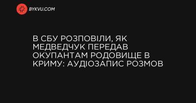 В СБУ розповіли, як Медведчук передав окупантам родовище в Криму: аудіозапис розмов