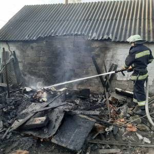 В Запорожской области произошел пожар на частной территории. Фото