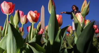 В Грузию завезли тысячи цветов с опасными насекомыми