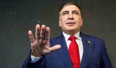 Роскошный особняк Саакашвили на Киевщине показали журналисты (видео)