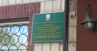 Парки и налоги: прокуратура обыскивает офис "Киевзеленстроя"