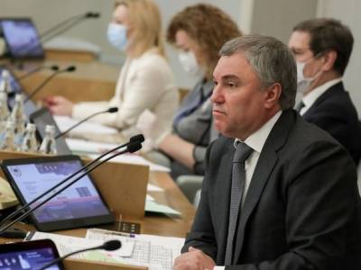 Володин заявил о необходимости обсудить запрет на анонимность в интернете после трагедии в Казани