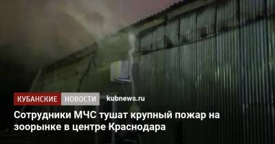 Сотрудники МЧС тушат крупный пожар на зоорынке в центре Краснодара