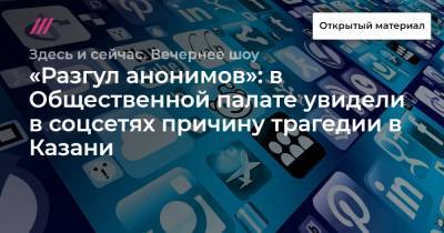 «Разгул анонимов»: в Общественной палате увидели в соцсетях причину трагедии в Казани