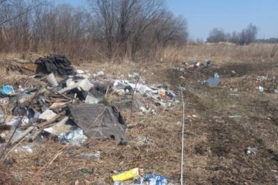 Недалеко от Хабаровска была найдена свалка, загрязняющая почву