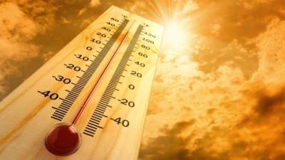 Самый «горячий» день: когда в Петербурге ожидается рекордная жара?