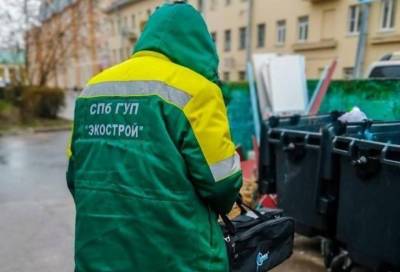 Более 180 обращений поступило в экологические службы Петербурга за неделю