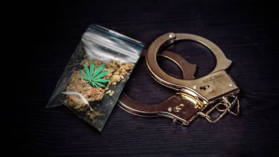 Употребивший наркотик житель ЕАО попался на перевозке более 400 г марихуаны