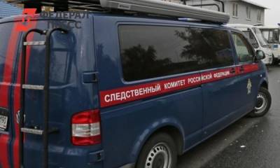 Глава СК потребовал проверить действия пожарных в деревне под Омском, где сгорело 25 строений