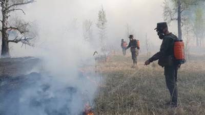 107 лесных пожаров потушено в России за сутки