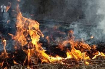 В Вологде трое мужчин погибли в пожаре