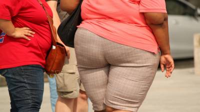Ученые открыли безопасный способ борьбы с ожирением