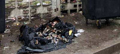 Вандалы сожгли в Петрозаводске 8 мусорных контейнеров