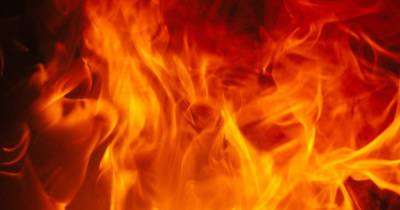 В Кропивницком вспыхнул масштабный пожар: огонь подступал к домам