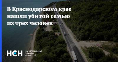 В Краснодарском крае нашли убитой семью из трех человек
