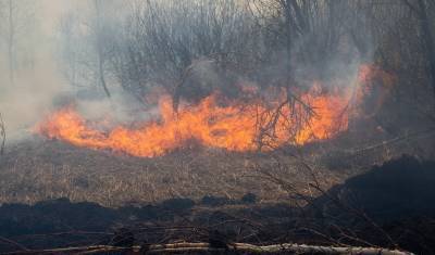 За минувшие сутки в Тюменской области потушили 42 пожара