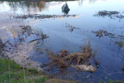 В Твери ввели режим повышенной готовности из-за масляных пятен на реке