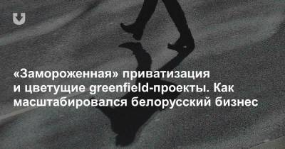 «Замороженная» приватизация и цветущие greenfield-проекты. Как масштабировался белорусский бизнес - news.tut.by