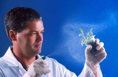 Ученые выяснили, какие растения и почему исследователи изучают в первую очередь – Учительская газета