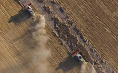 79% украинцев против продажи сельхозземли иностранцам – опрос