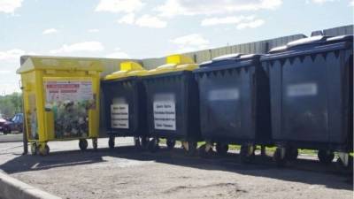 РЭО оценил стоимость сортировки твердых отходов в России